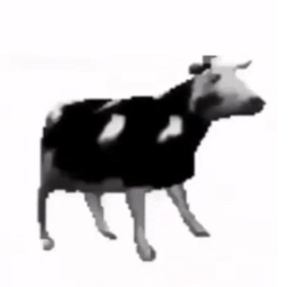 Polish cow