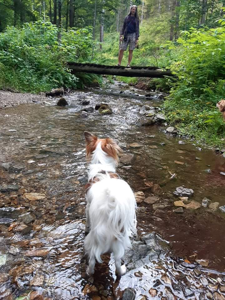 Toby v řece