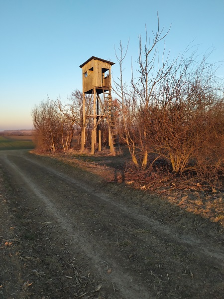 Obydlí