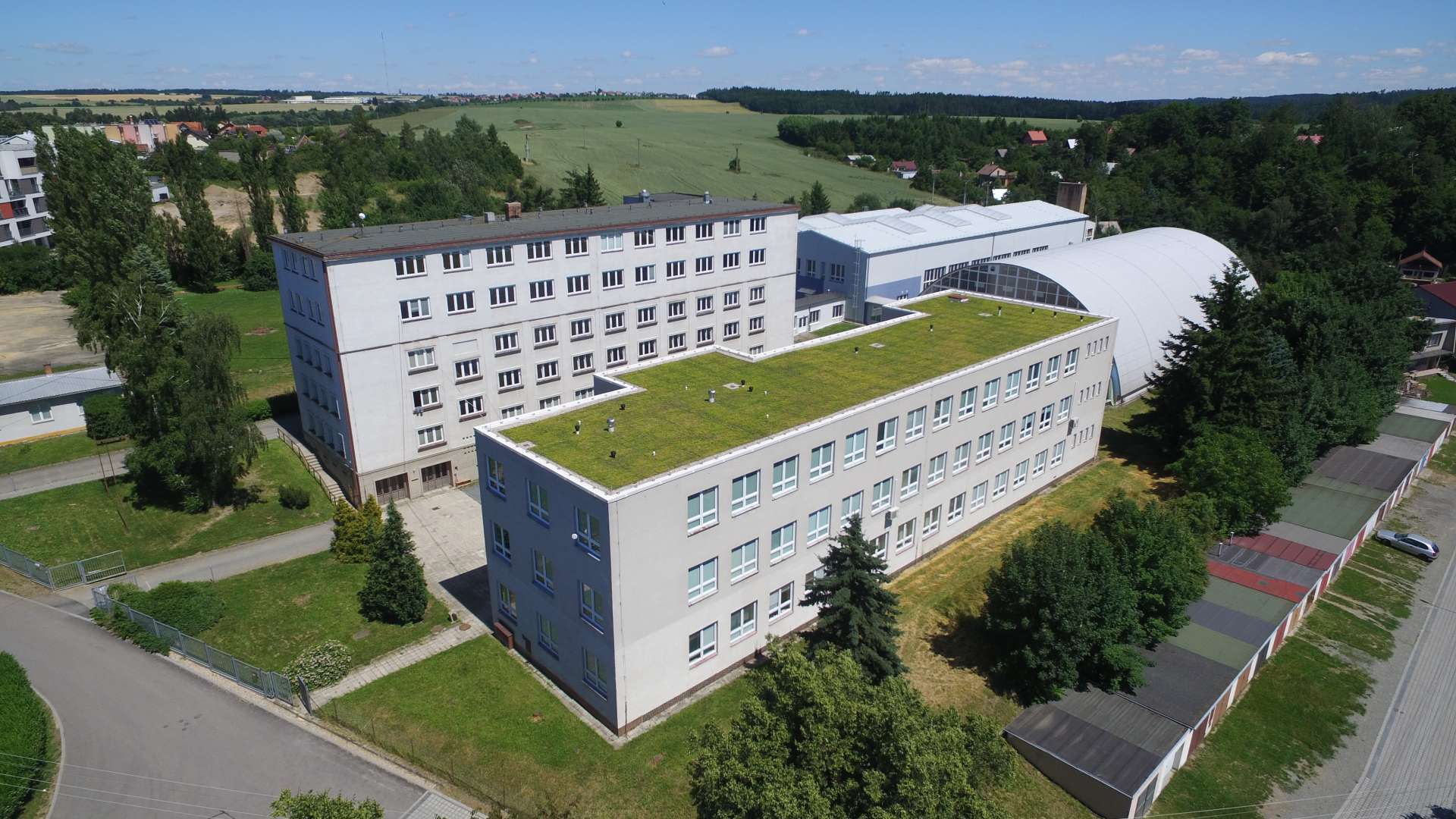 škola