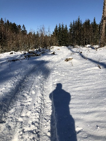 Zimní Vysočina se sluníčkem a sněhem